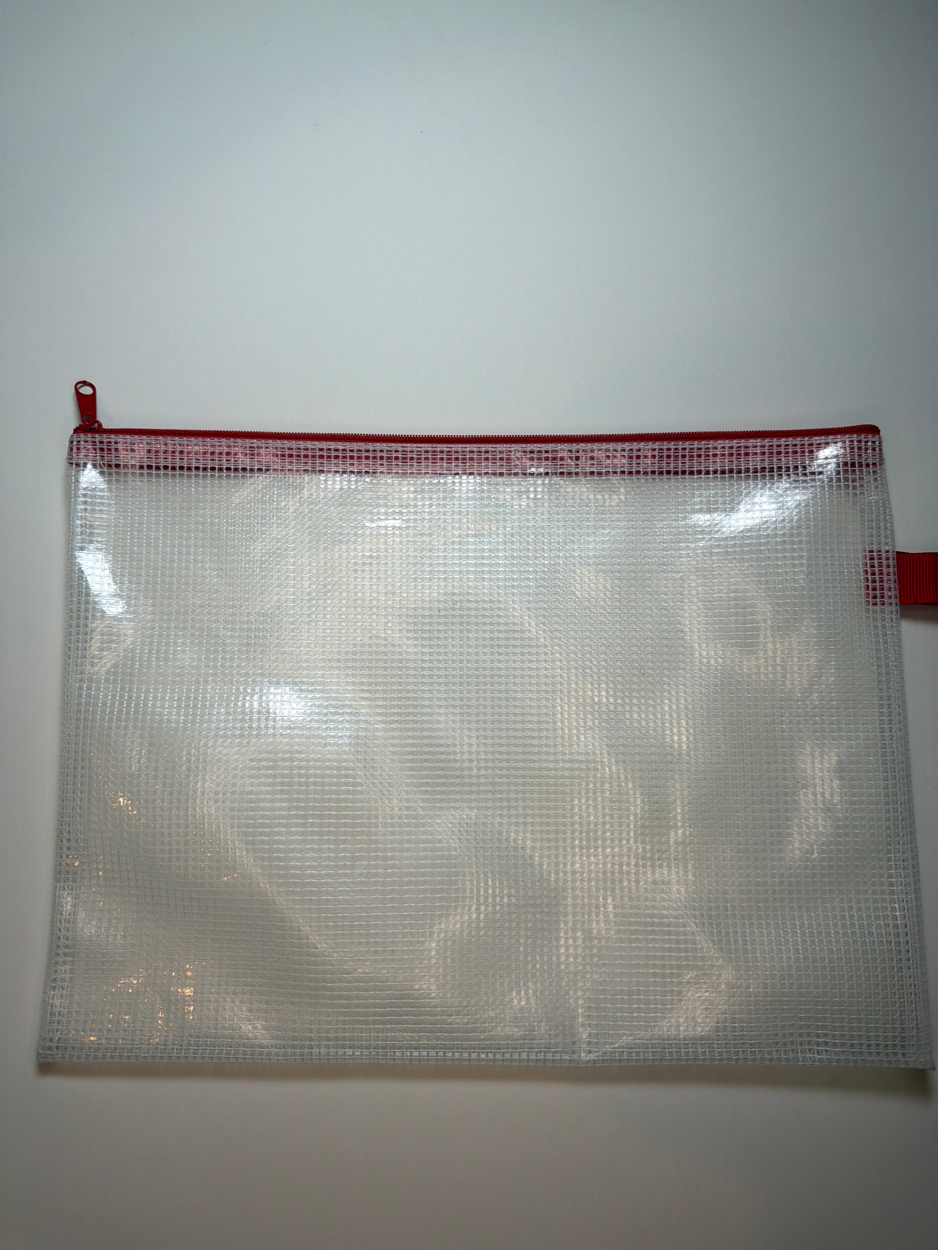 Project Bag: medium 2.0 plastic with red zipper
