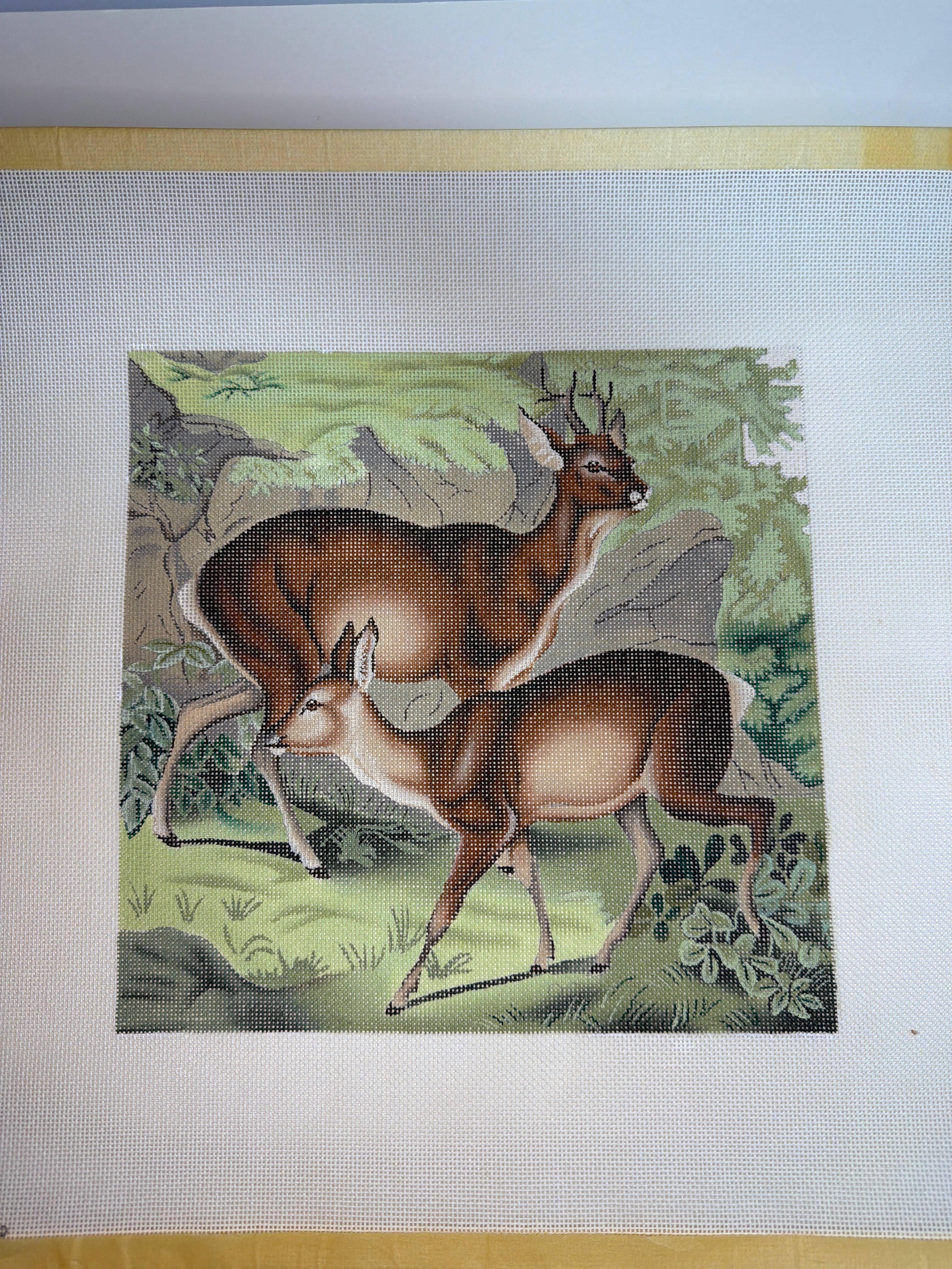 Deer in Nature (male and female)