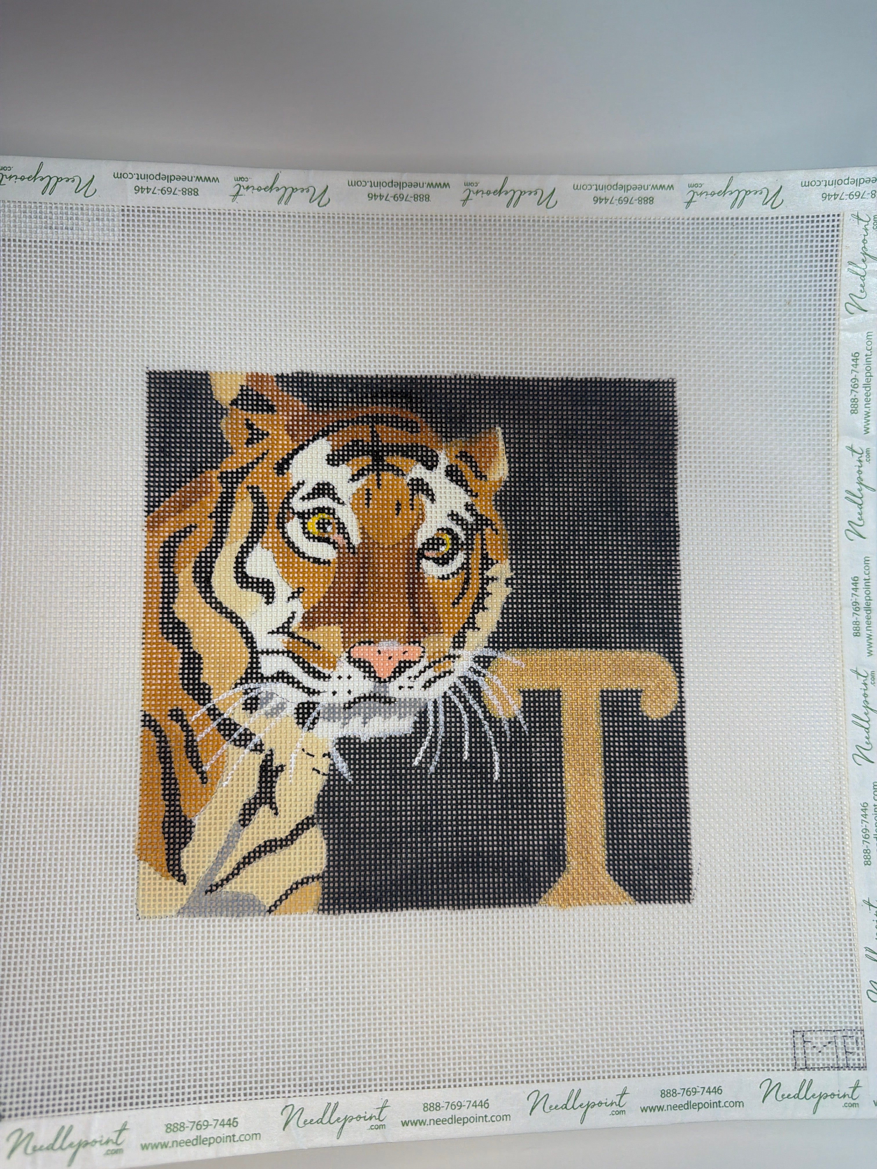 Tiger with a T