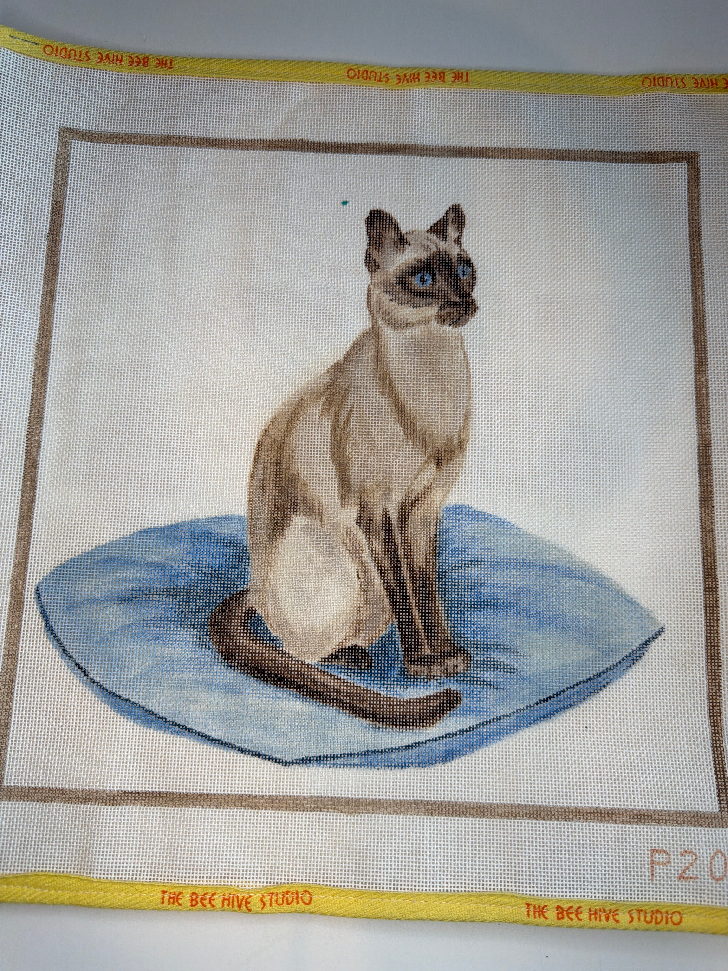 Cat on Pillow