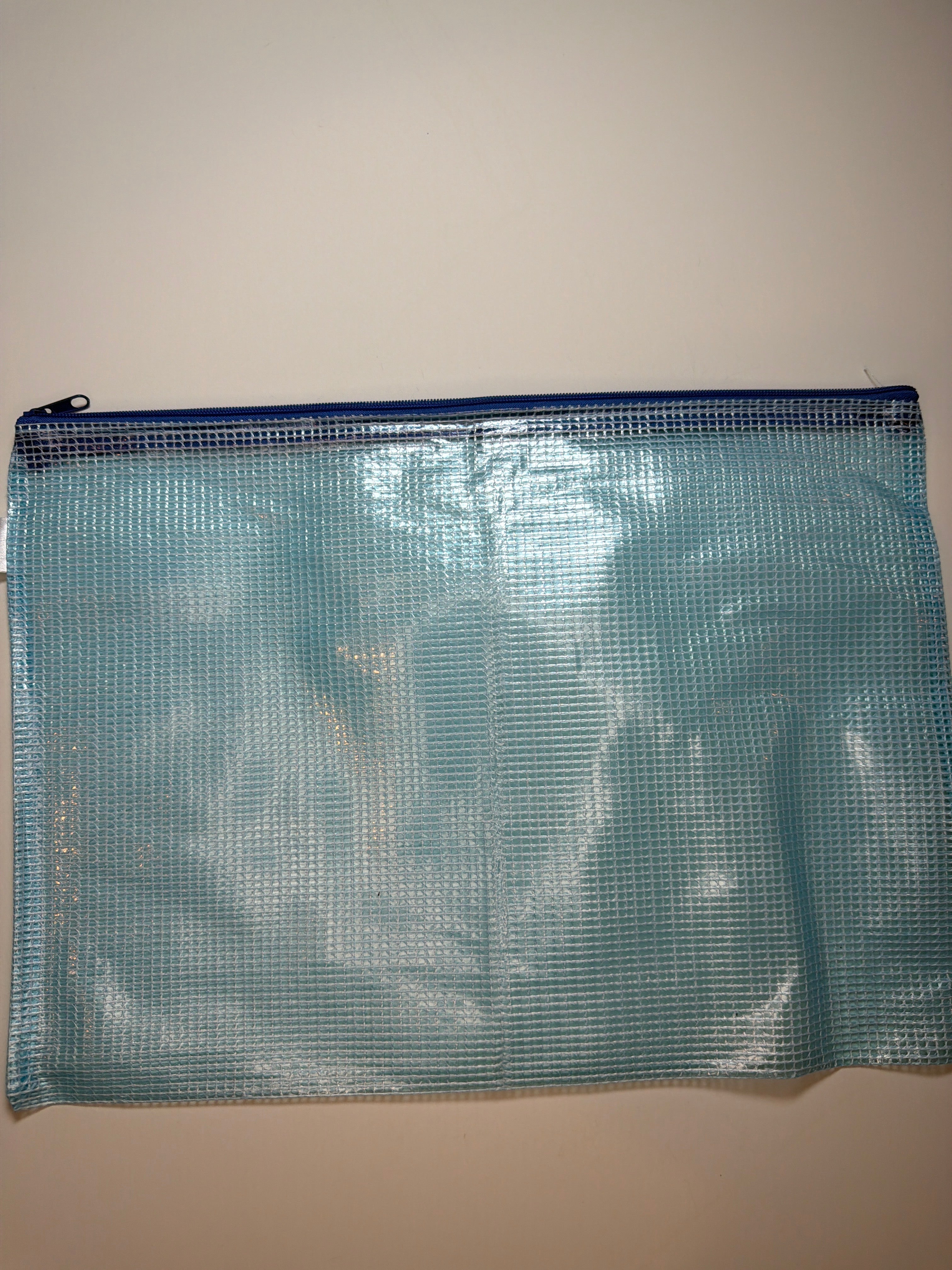 Project Bag: medium 2.0 plastic with dark blue zipper