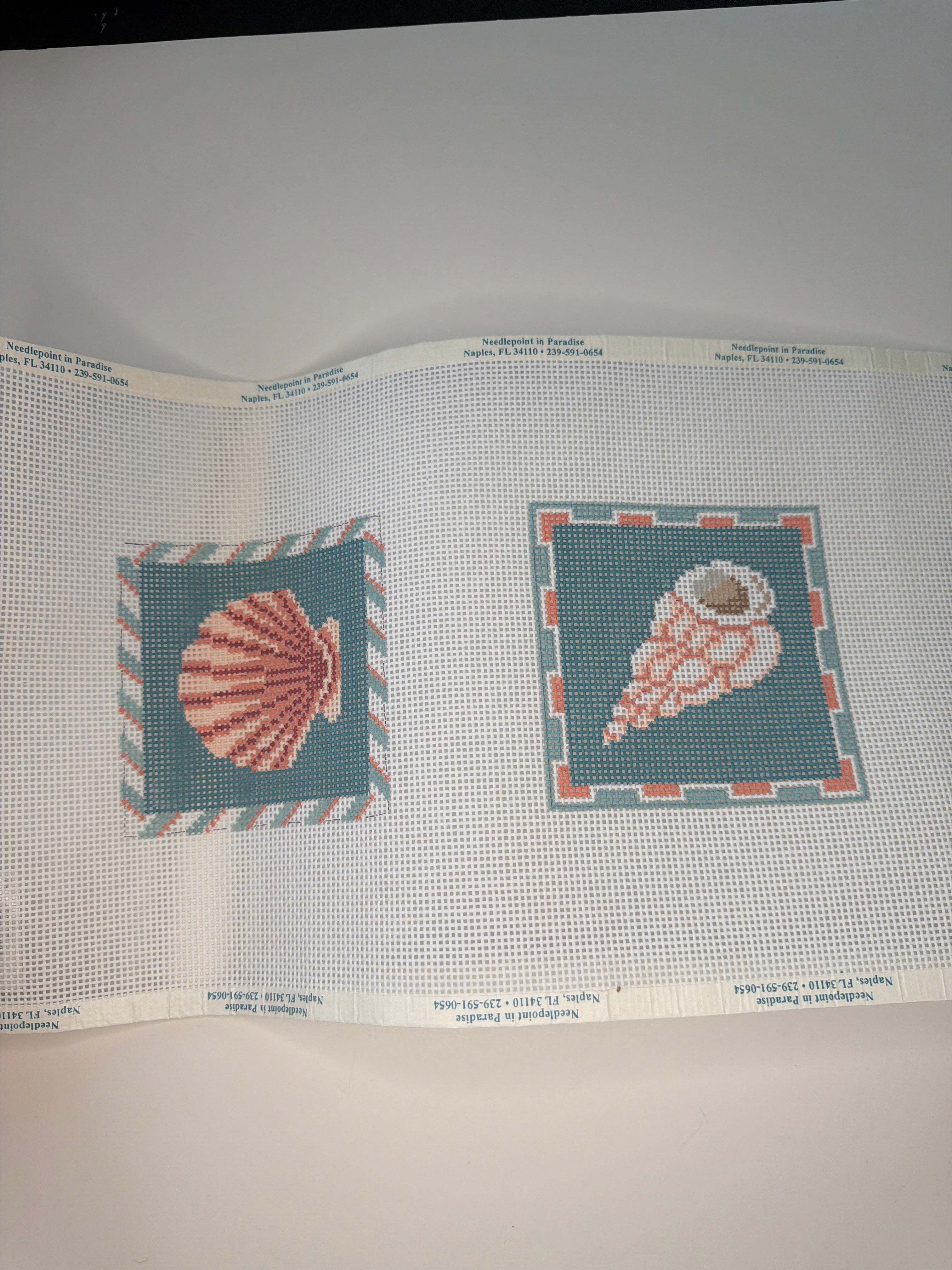 Seashell Coasters