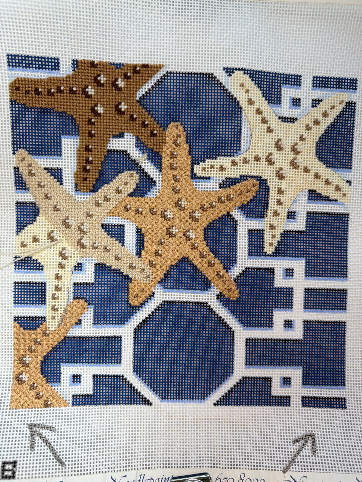 Starfish on Blue Trellis