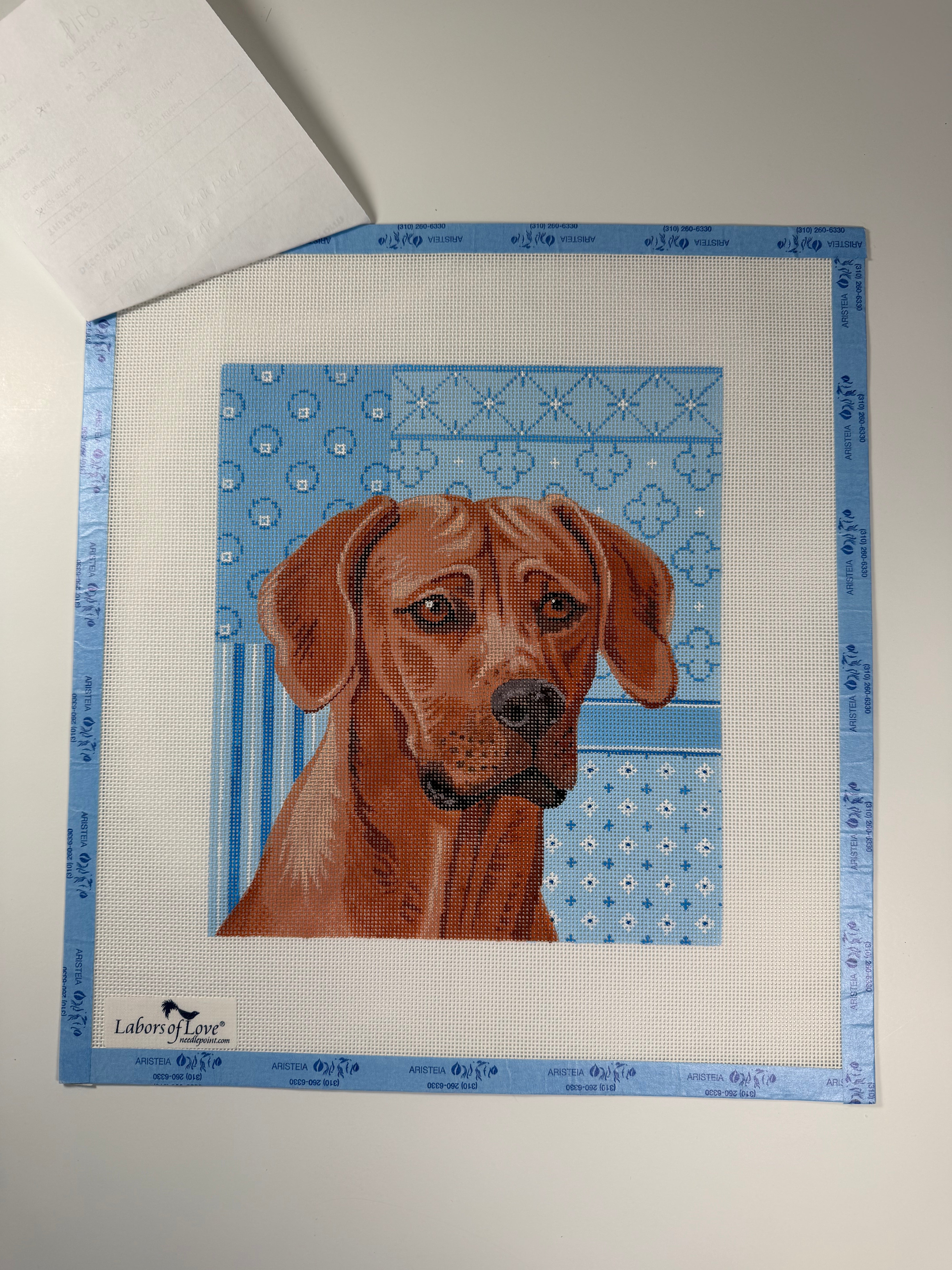 Rhodesian Ridgeback