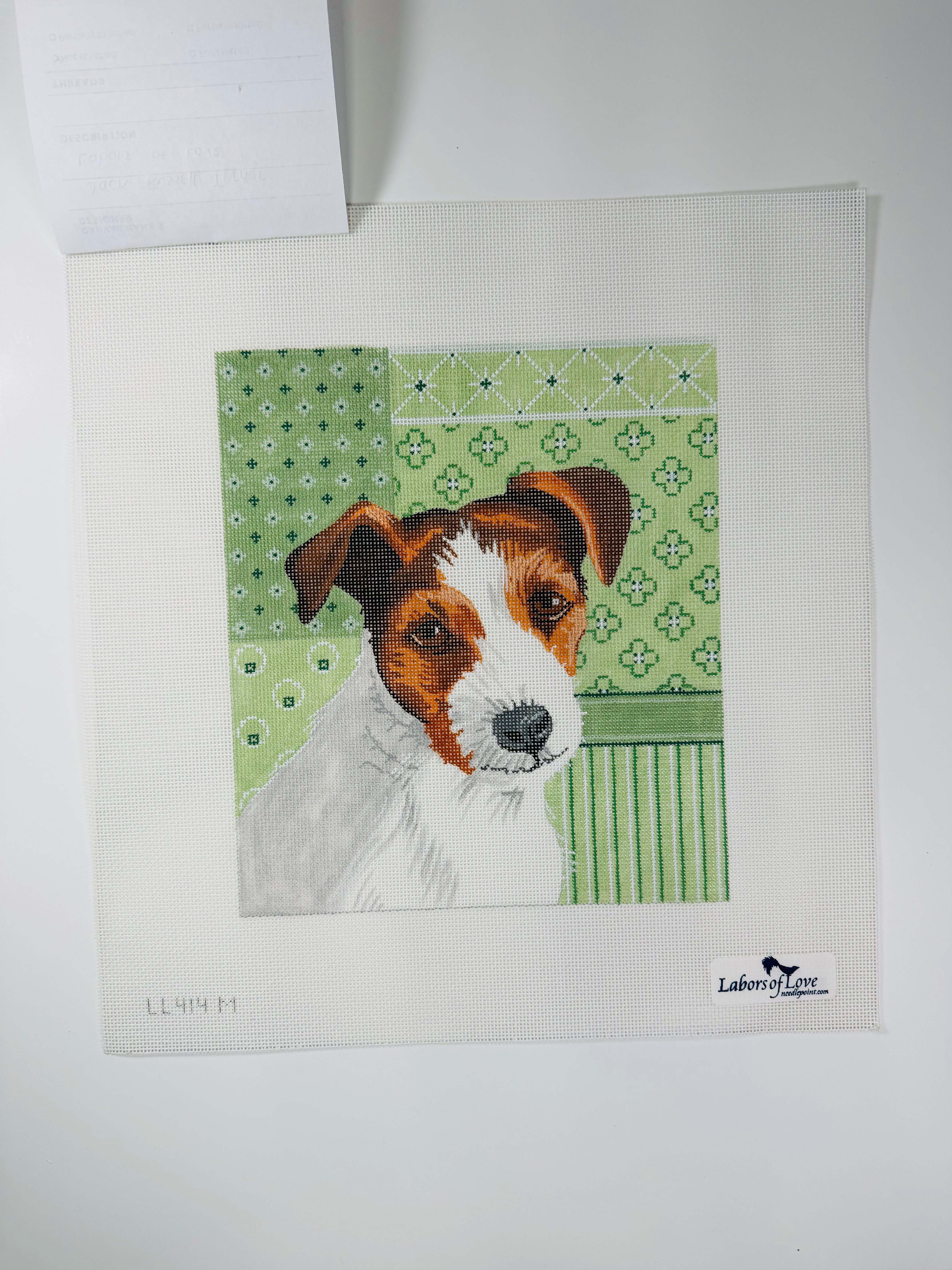 Jack Russell Terrier