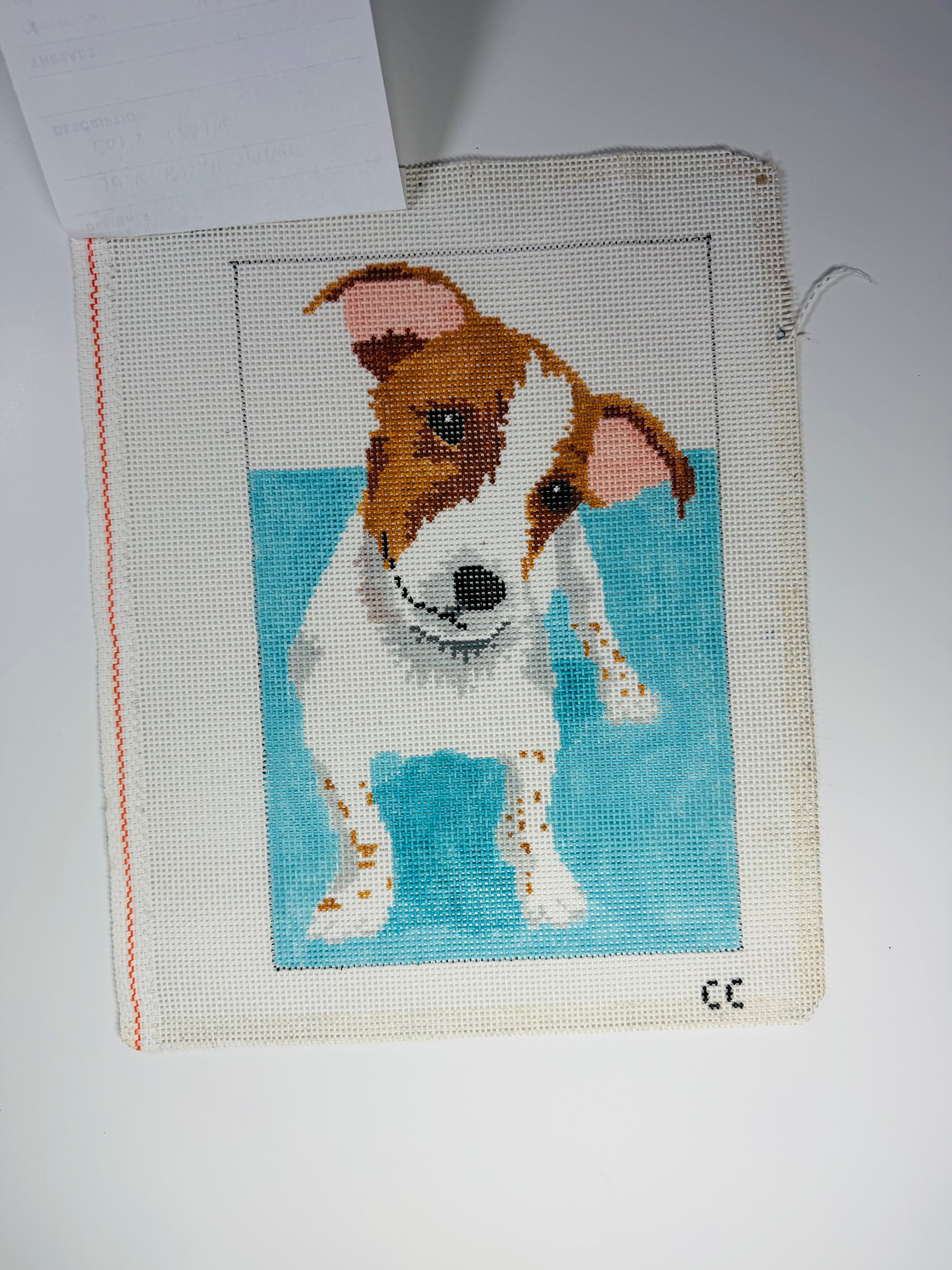 Jack Russell Terrier