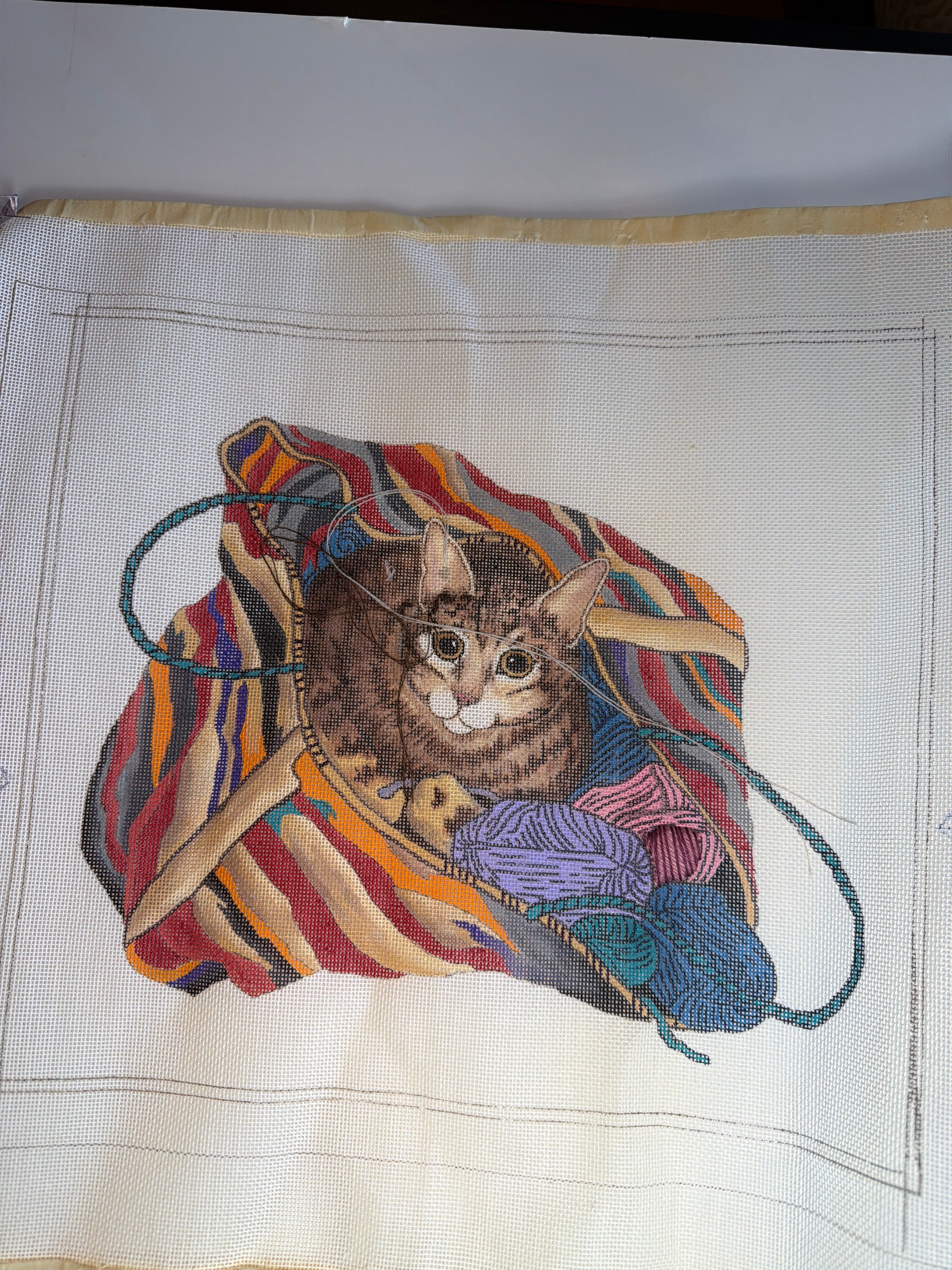 Cat in a yarn bag