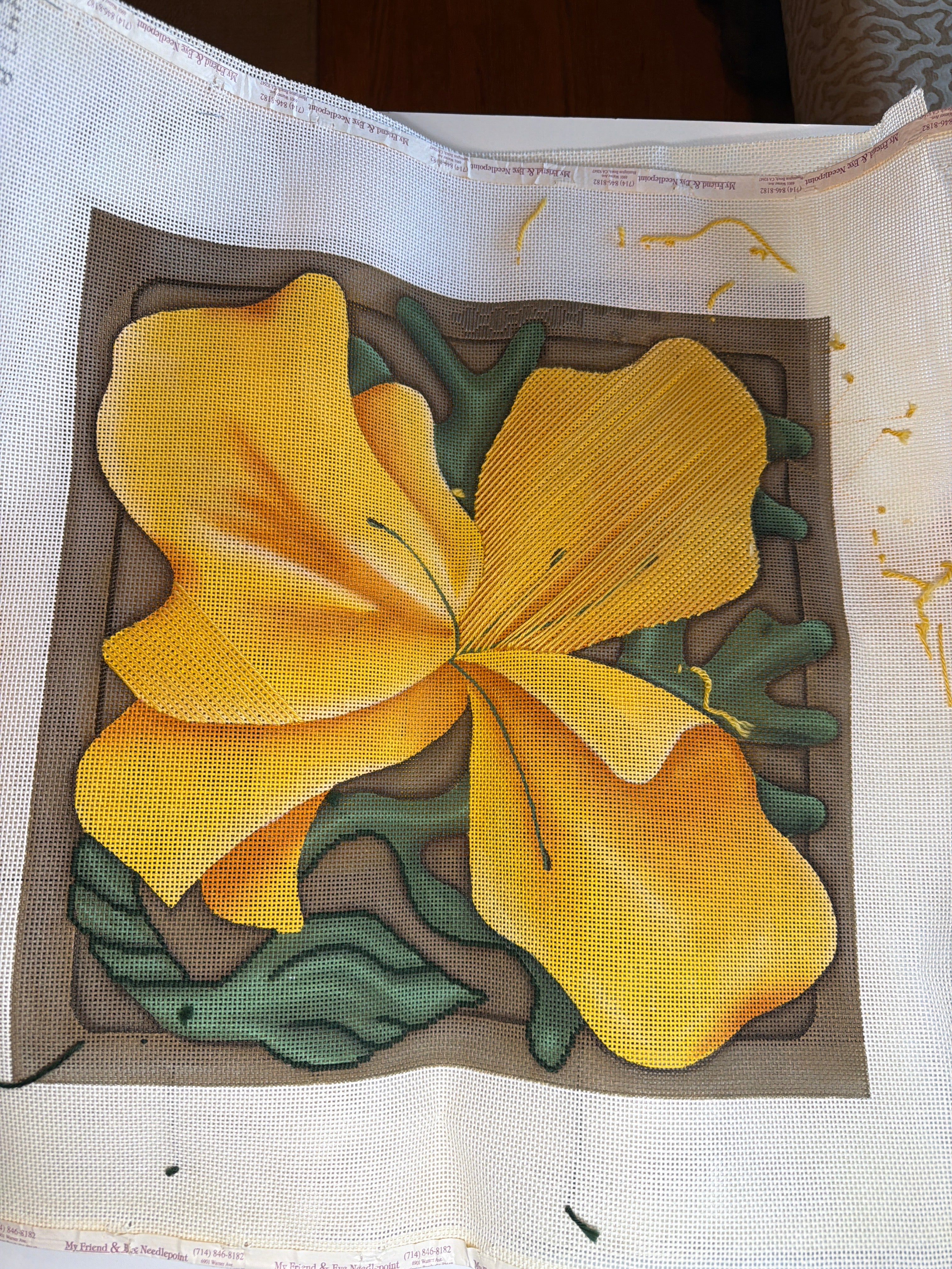 Duo of Hibiscus Flowers