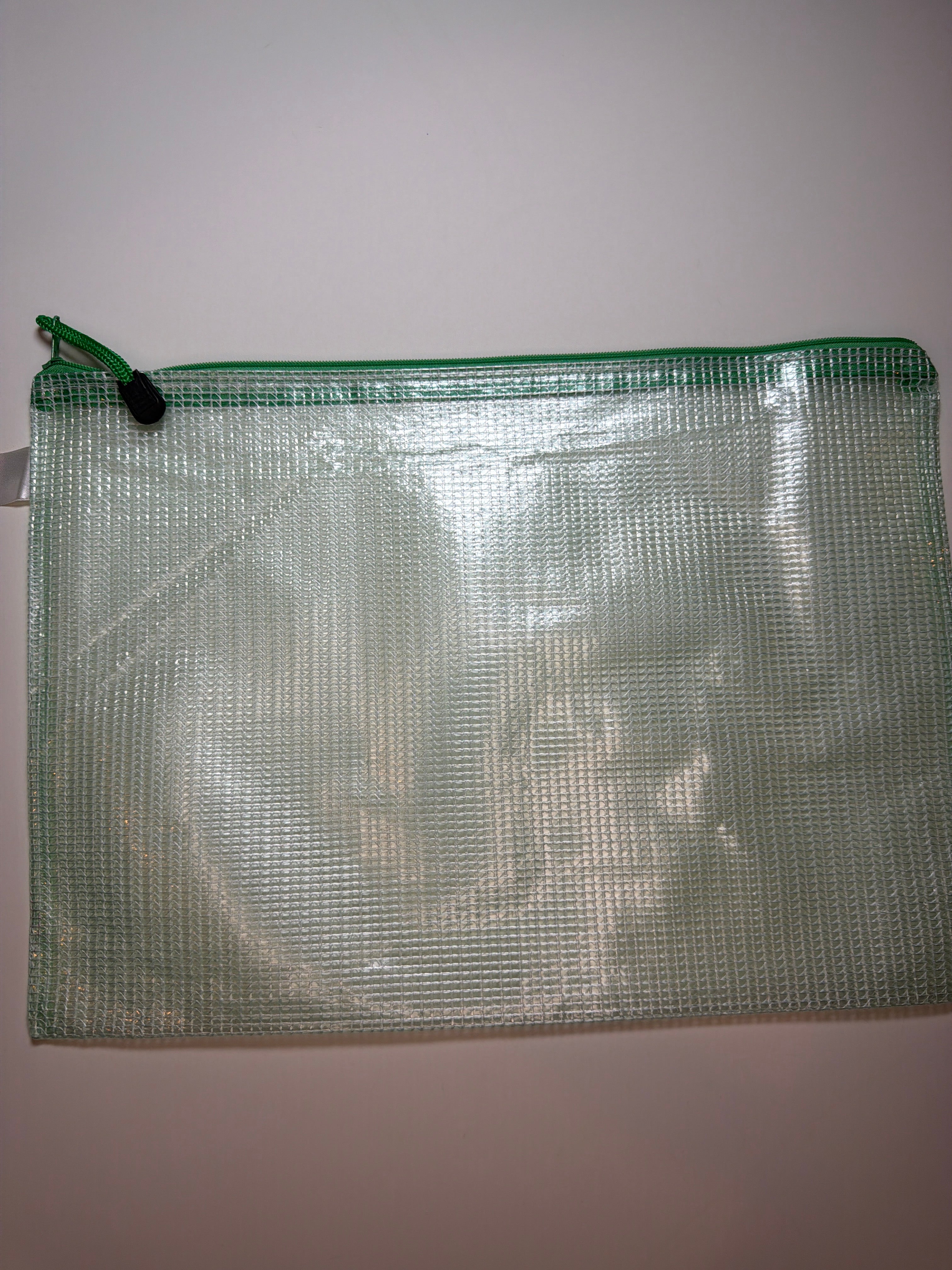 Project Bag: medium 2.0 plastic with green zipper