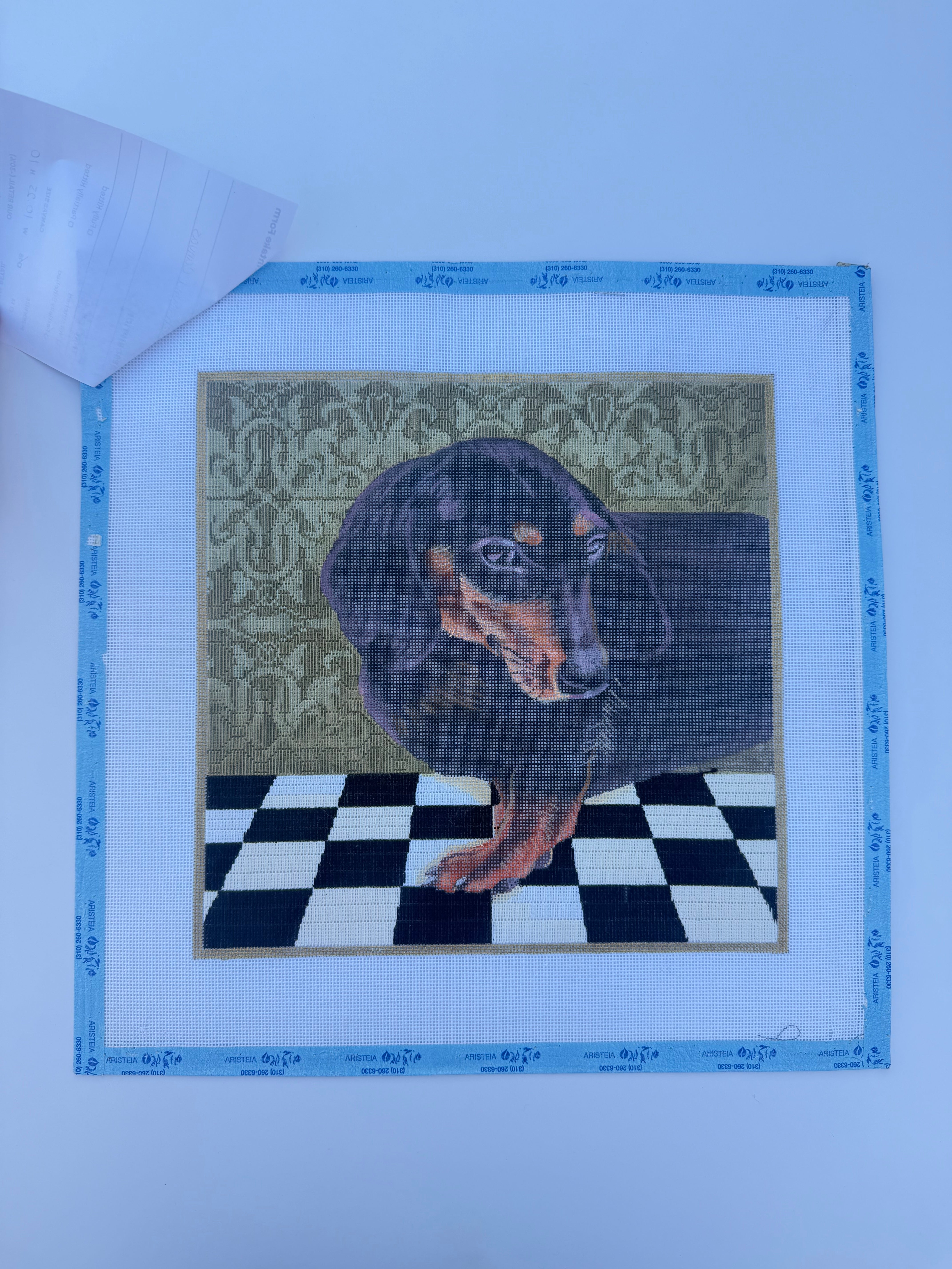 Dachshund Canvas