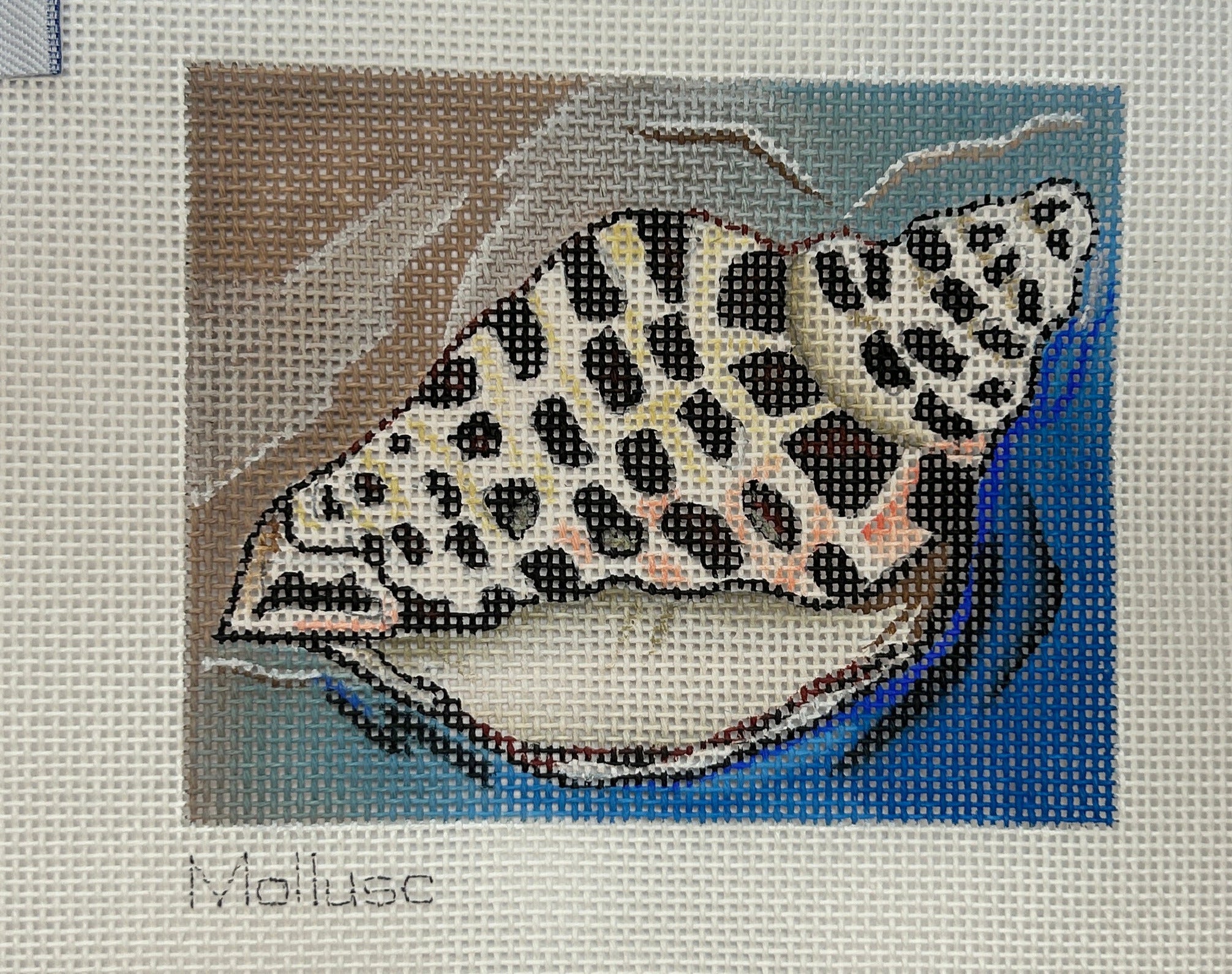 Mollusk